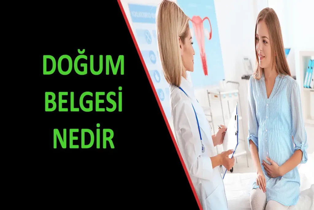 Doğum Belgesi Nedir