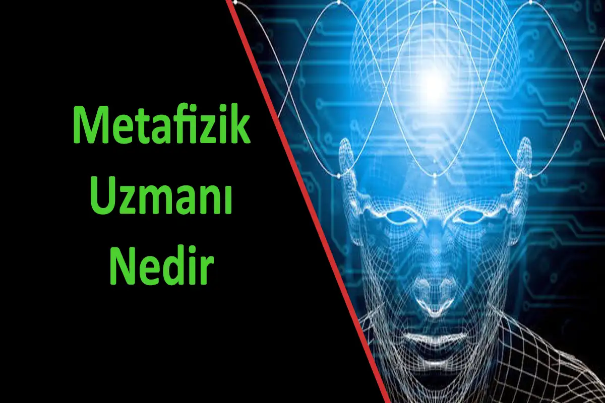 Metafizik Uzmanı Nedir