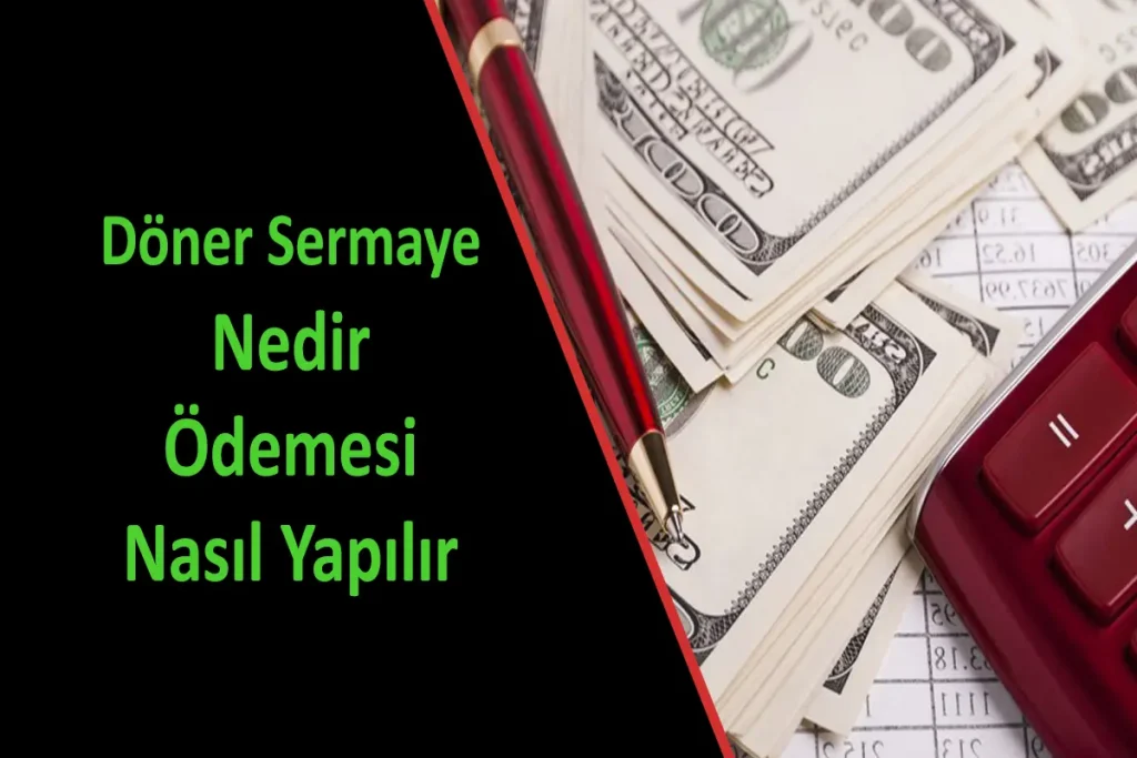 Döner Sermaye Nedir