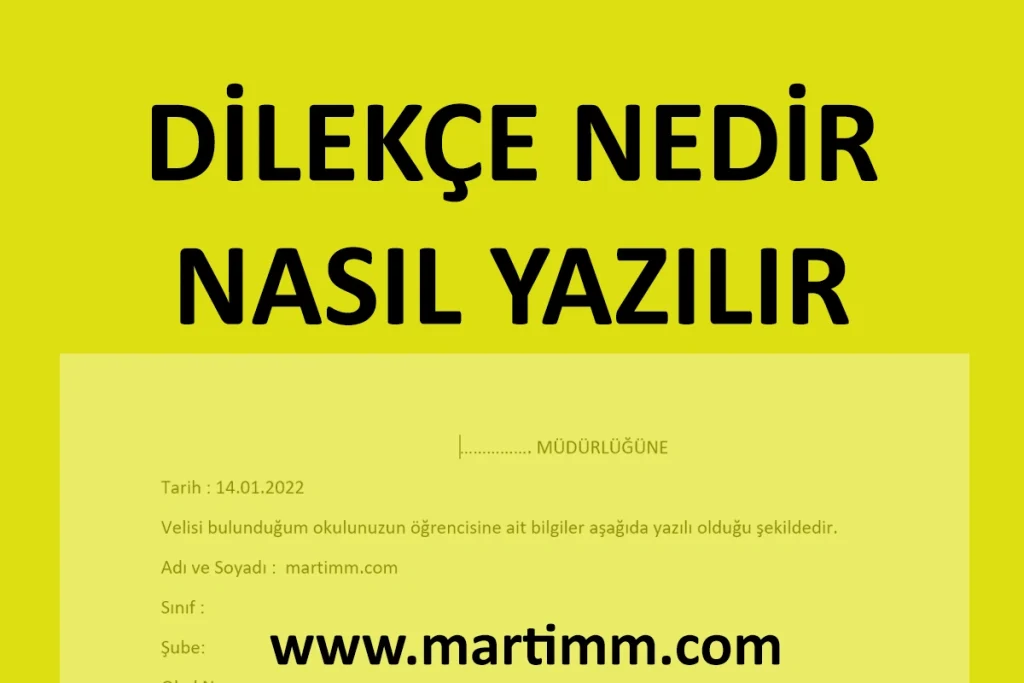 Dilekçe Nedir, Nasıl Yazılır