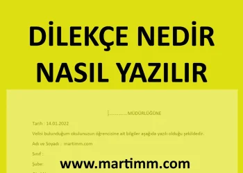 Dilekçe Nedir, Nasıl Yazılır