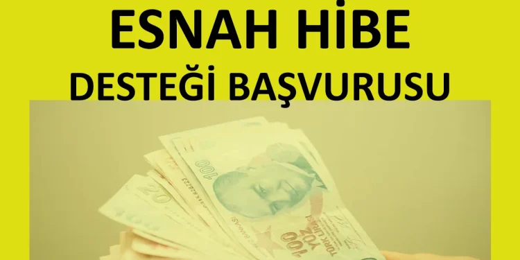 Esnaf Hibe Desteği Başvurusu