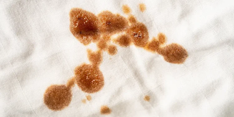 Fekal Kalprotektin Nedir