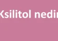 Ksilitol Nedir