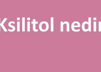 Ksilitol Nedir