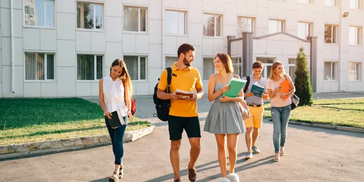 Lise ve Dengi Okulları Ne Demek