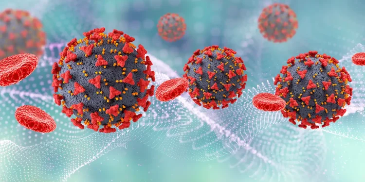 MDS Hastalığının Son Evresi