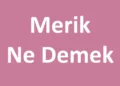 Merik Ne Demek