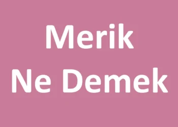 Merik Ne Demek