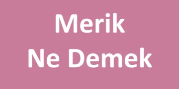Merik Ne Demek