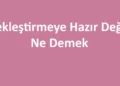 Tekleştirmeye Hazır Değil Ne Demek