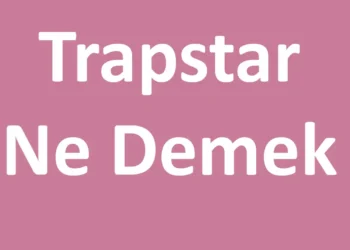Trapstar Ne Demek